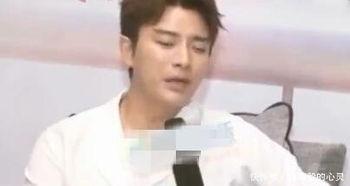 李小璐最新娱乐圈爆料,揭秘背后惊人真相