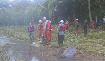 汨罗最新爆料事件始末,真相揭秘与舆论风暴