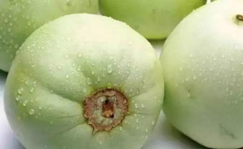 金华最新吃瓜事件爆料是真的吗,真相揭秘还是无稽之谈？